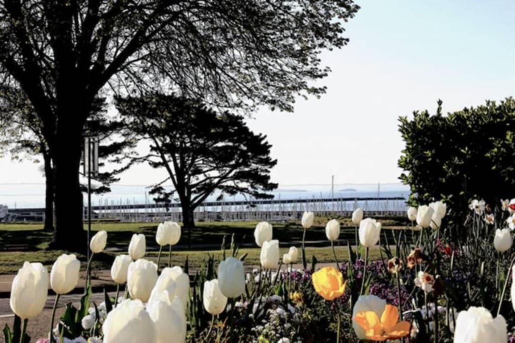 Joli Avec Jardin-terrasse Prive Brest